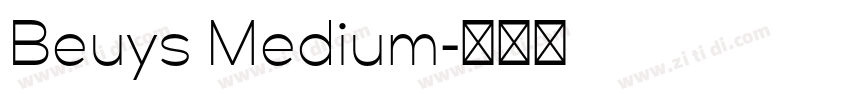 Beuys Medium字体转换